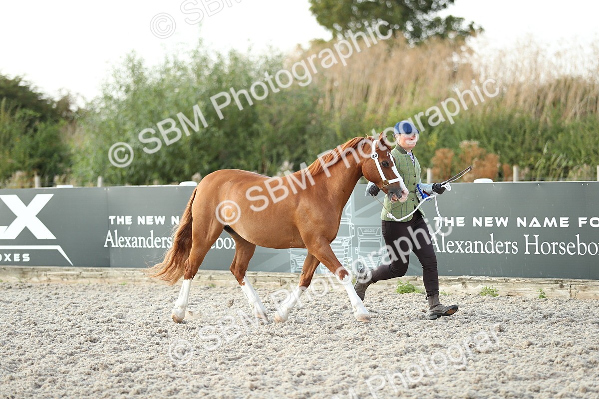 SBM_09120 - Class 29 IH Veteran Pony