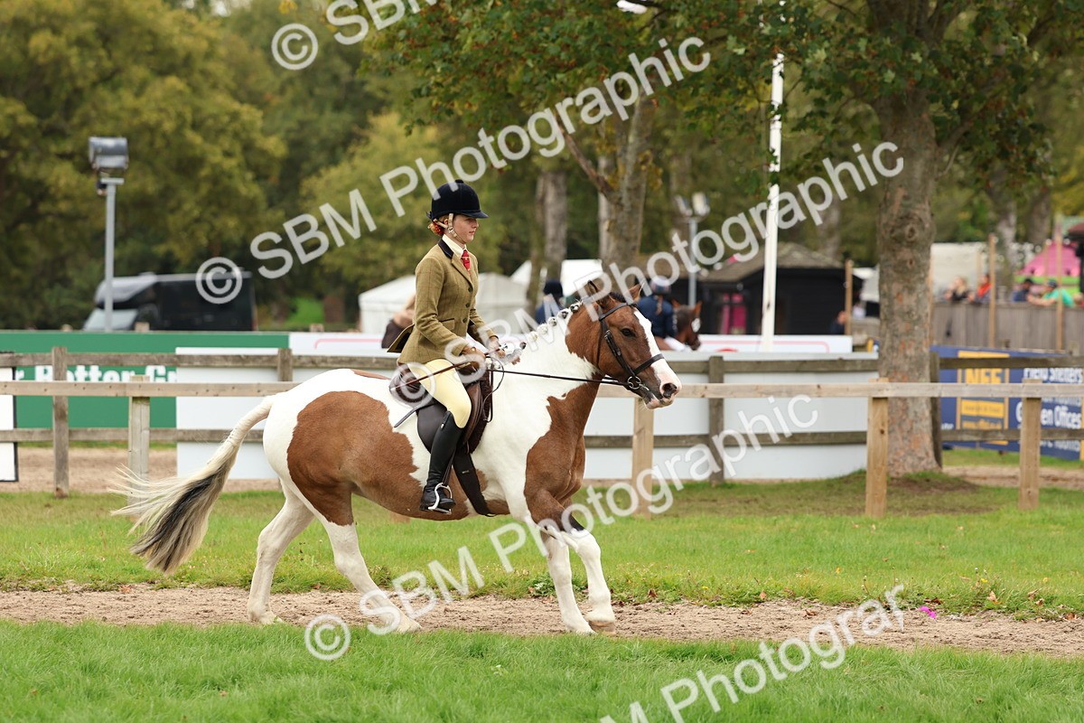 SBM_65205 - S59 - Part Bred Arab & Native Pony Ridden