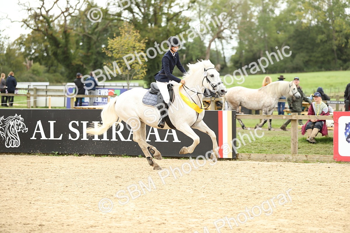 SBM_59719 - J25 - Junior Horse 80cm Championship
