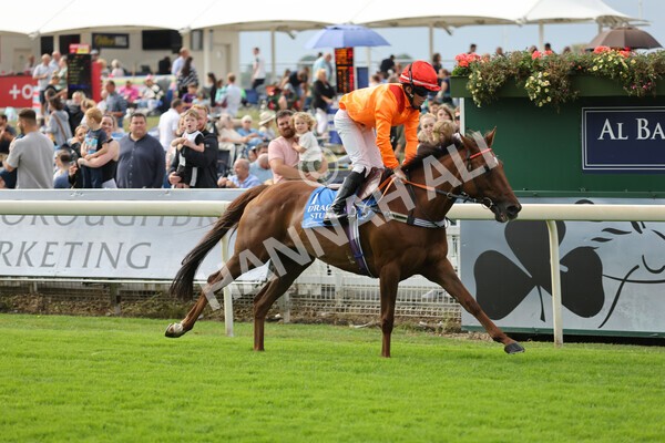 yr04092022p2-44 - 12.50pm. 148cm Open Pony Race