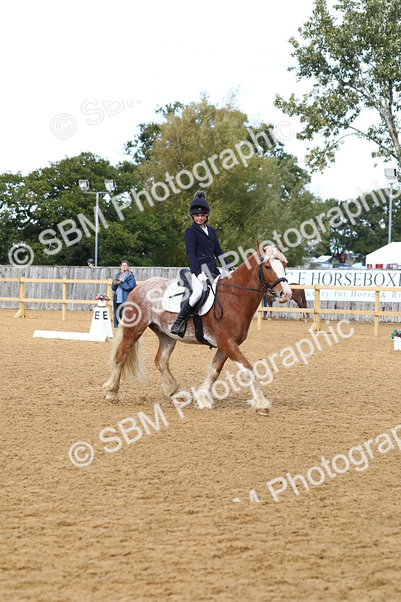 SBM_42643 - D21 - Junior Championship Intro 1