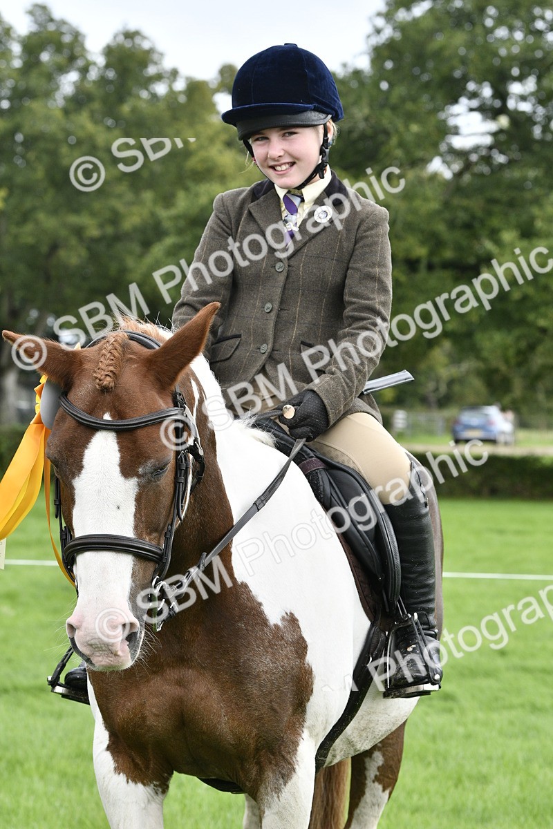 SBM_38307 - S31 - Novice & Newcomer Working Hunter Pony