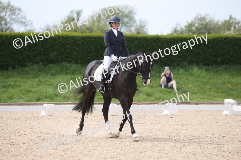 20260502-0881 - Class 7 - Novice 2