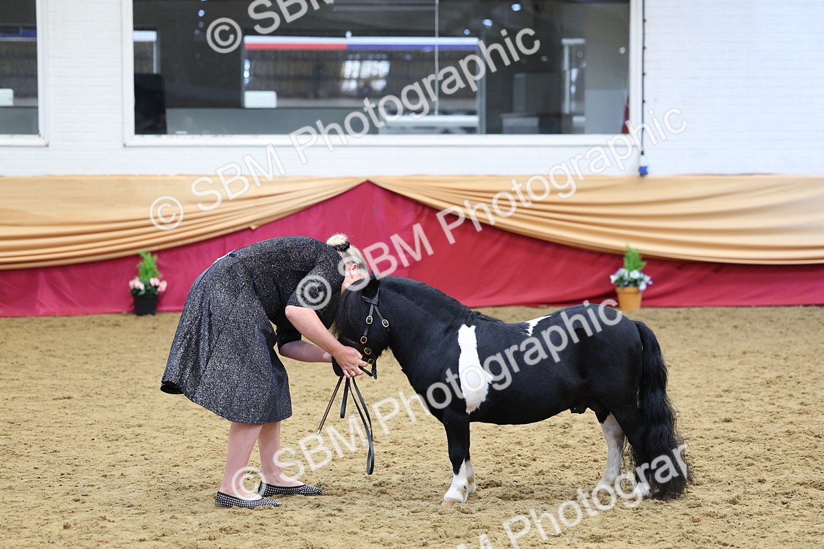 SBM_22915 - Class 903 - Supreme Final - IH Pre Vet