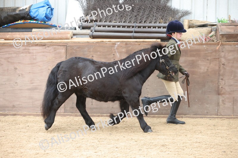 20251109-0152 - Class 8 - Young Handlers