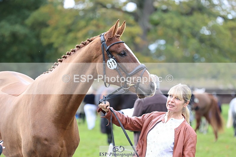 251026A-114239-25636 - G-573-Lisa.Stock