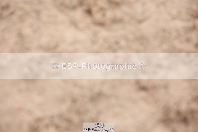 241117X-135746-04926 - Cls 35s A&B Winter-Summer