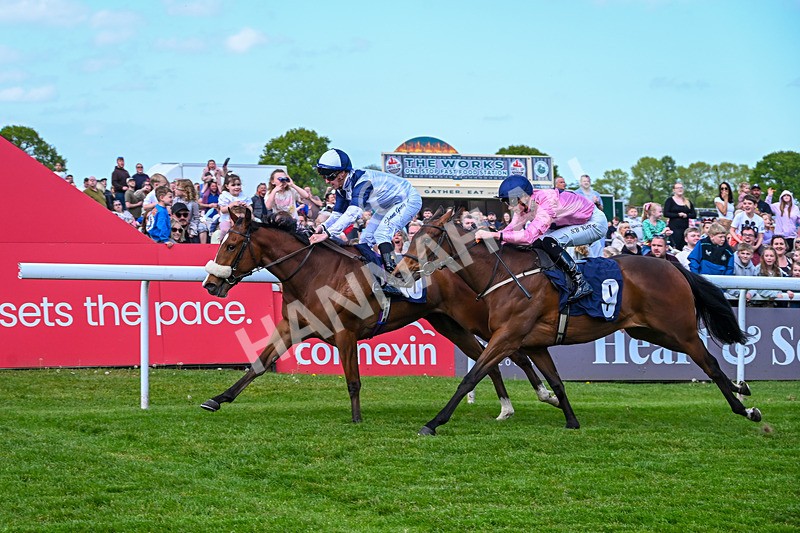 040526-Race 2-Moonlight Tango-1455 - Race 2
