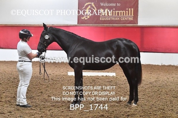 BPP_1744 - MORNING 9AM - 12PM