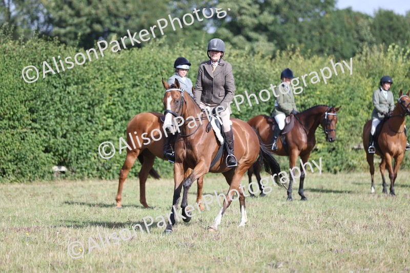 20250831-0920 - Class 14 - Ex Racehorse