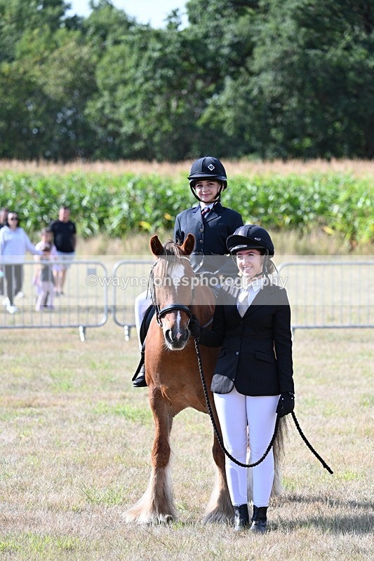 WJ7_2748 - Class 8 Ridden Tack & Turnout