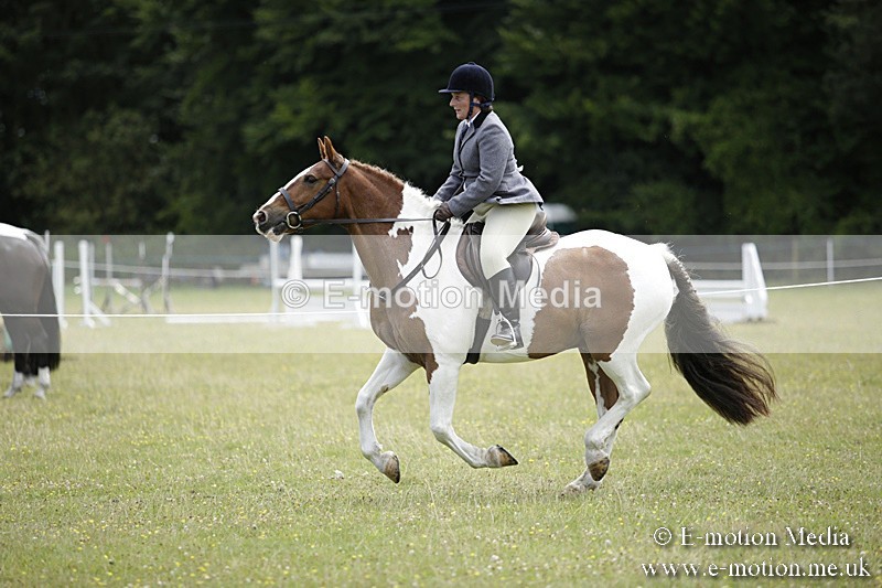 BVR160717-1896 - Ring 1 BVRC Show 16/07/17