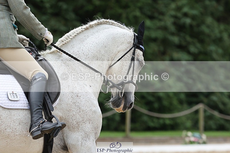 240810-144146-03712 - 169-Alison.Zuend-Il.Danubio