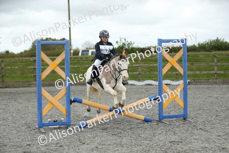20260412-0680 - Show Jumping