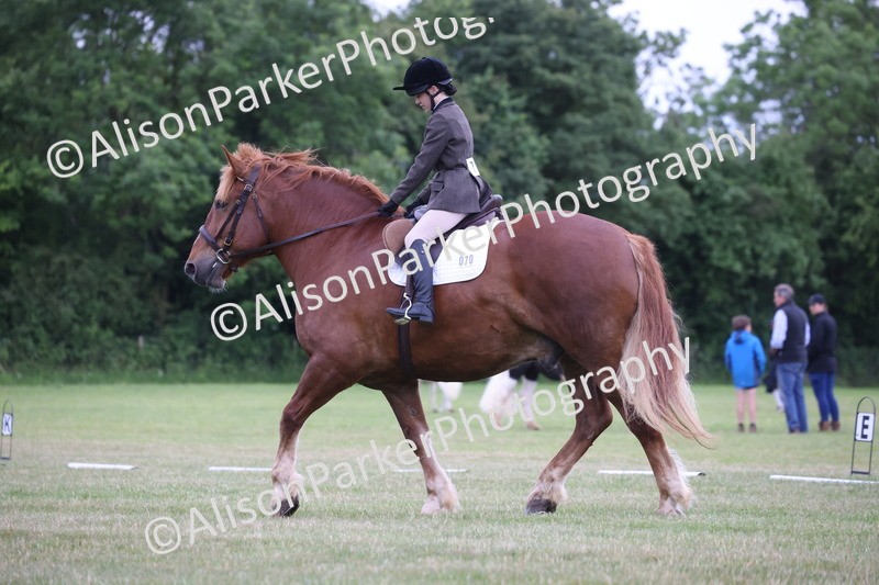 20250605-0681 - Class 1 - Intro 2