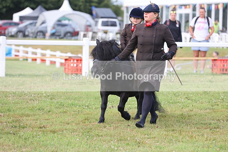 JPP_0413 - Class 14: Cornish Combination Leading Rein