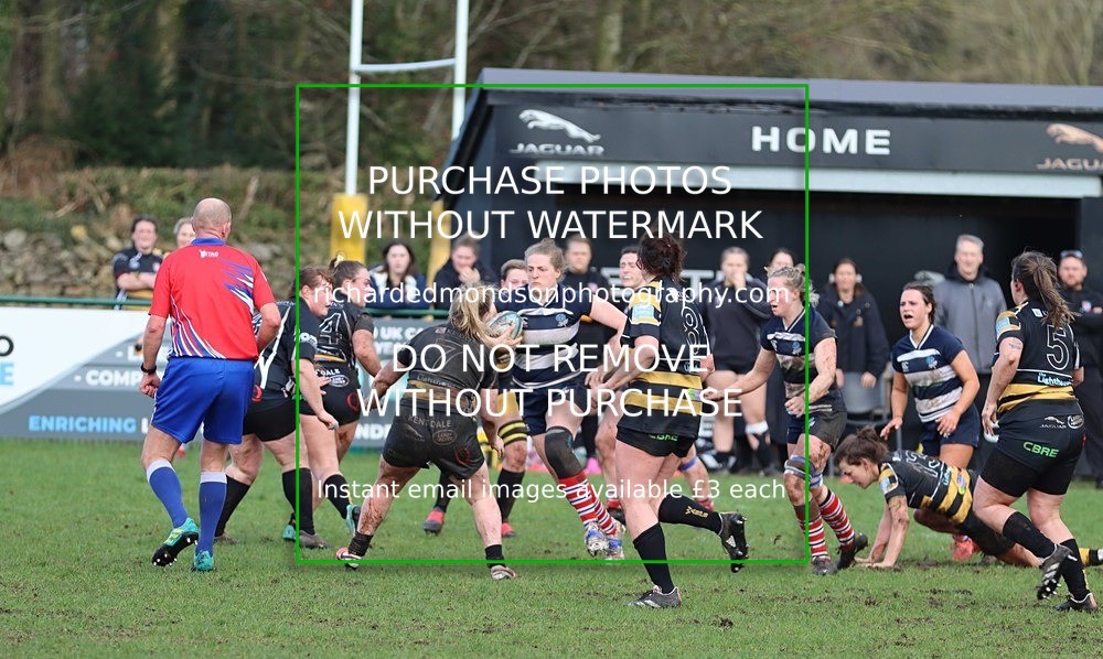 IMG_70491 - Sheffield Rugby