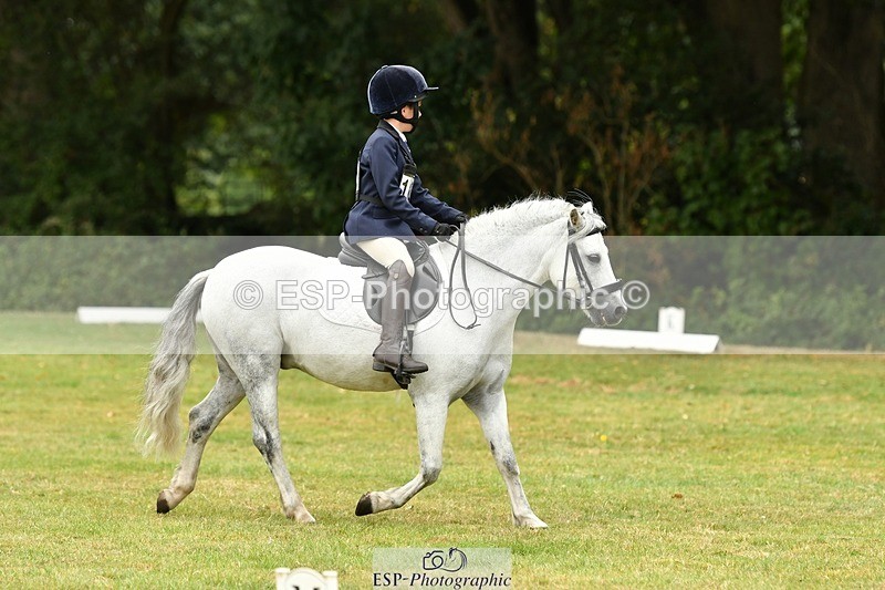 250820A-120914-05471 - 12 to 13.00