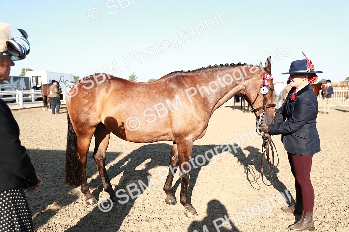 SBM_00064 - Class 40 Best Turned Out IH