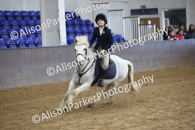 20260314-0446 - 60cm