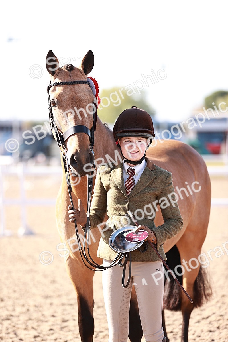 SBM_22088 - Class 703 - IH Coloured