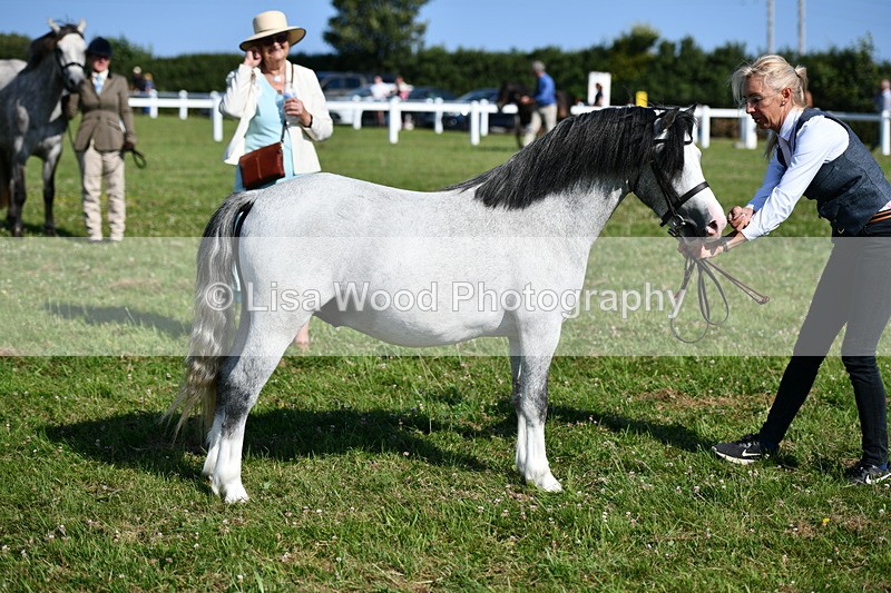 DSC_6022 - Class 51: NPS M&M 2/3 year olds
