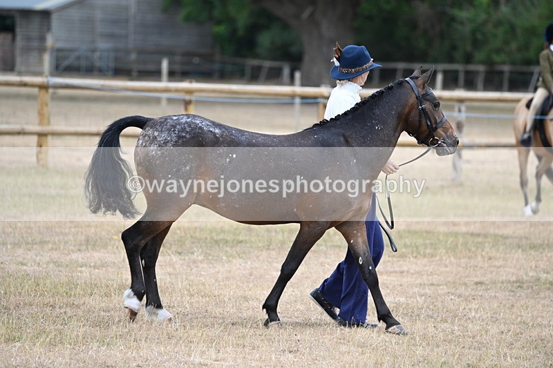 WJ6_7795 - Class 10 Coloured in Hand