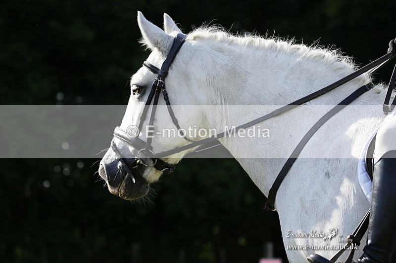 BVRC 120921 197 - Bourne Valley Riding Club UA Dressage & Show Jumping 12/09/21