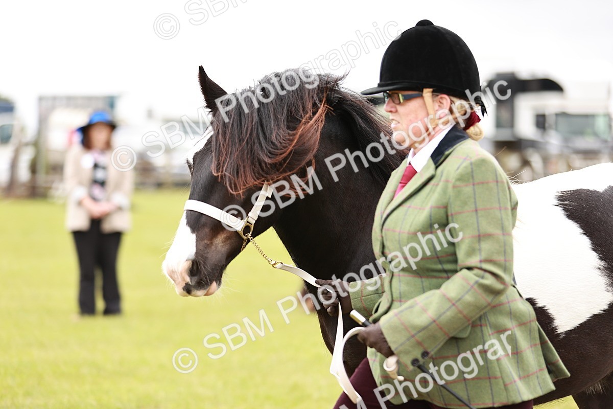SBM_05987 - Class 39-41 TGCA In Hand and Ridden
