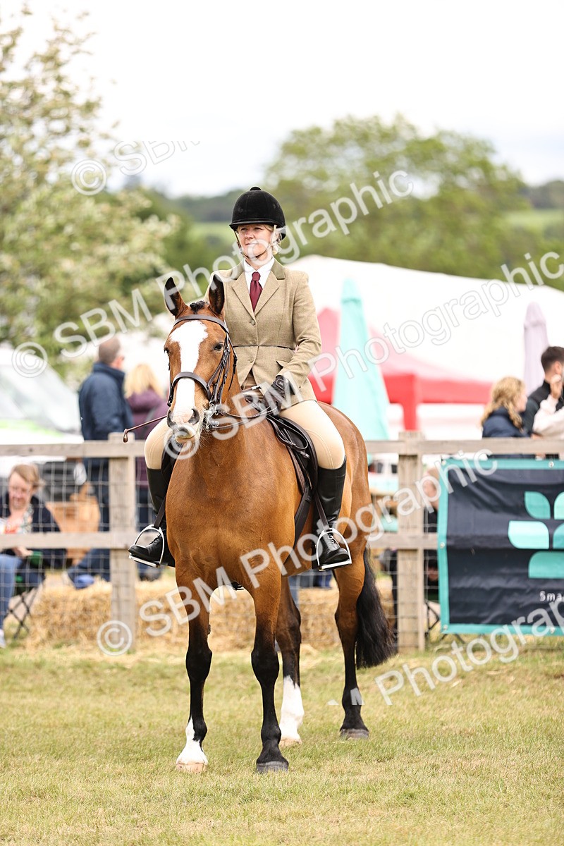 SBM_14623 - Class 88-89 - LIHS BSHA Rising Star of Ridden Hunter Type