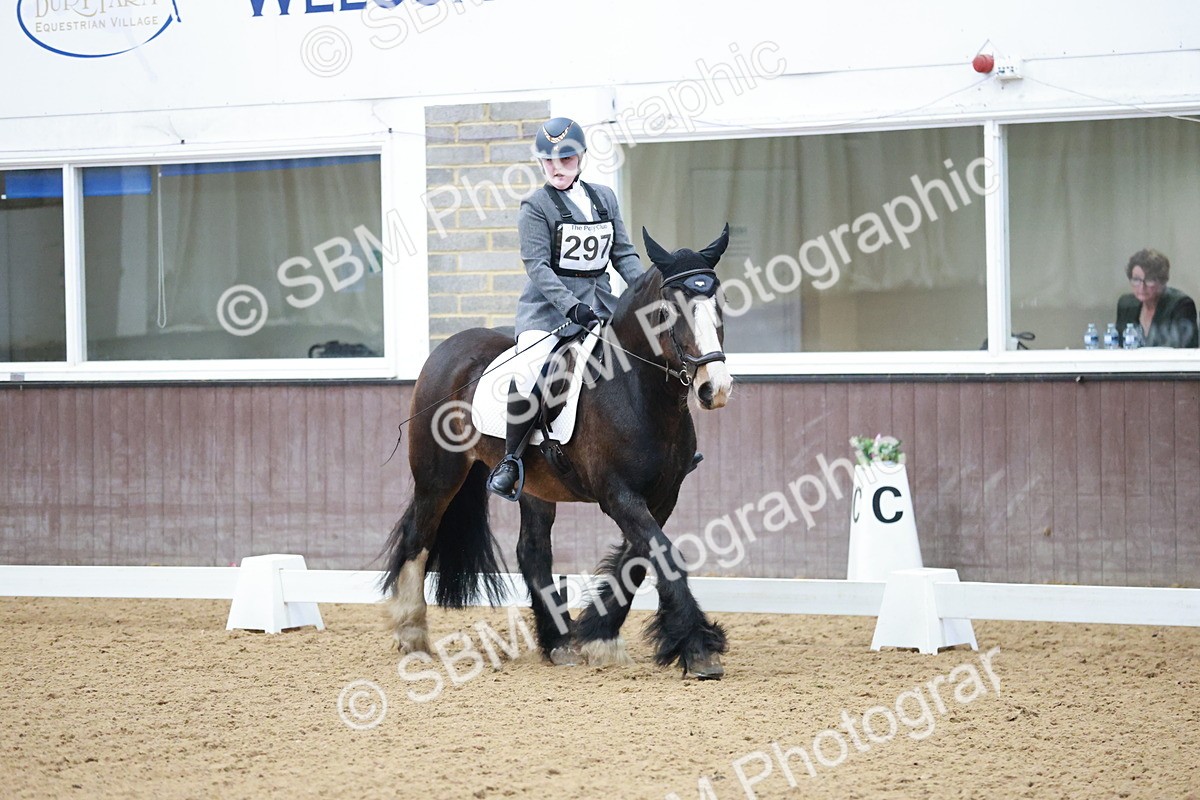 SBM_003851 - Class 2 - Novice 2020