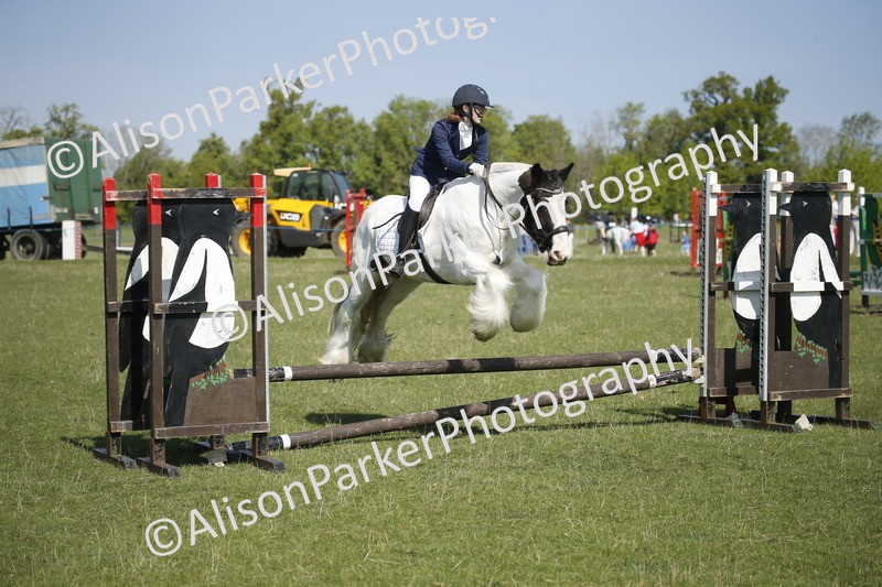 20250427-1998 - Class 13 - Novice Jumping 60cm