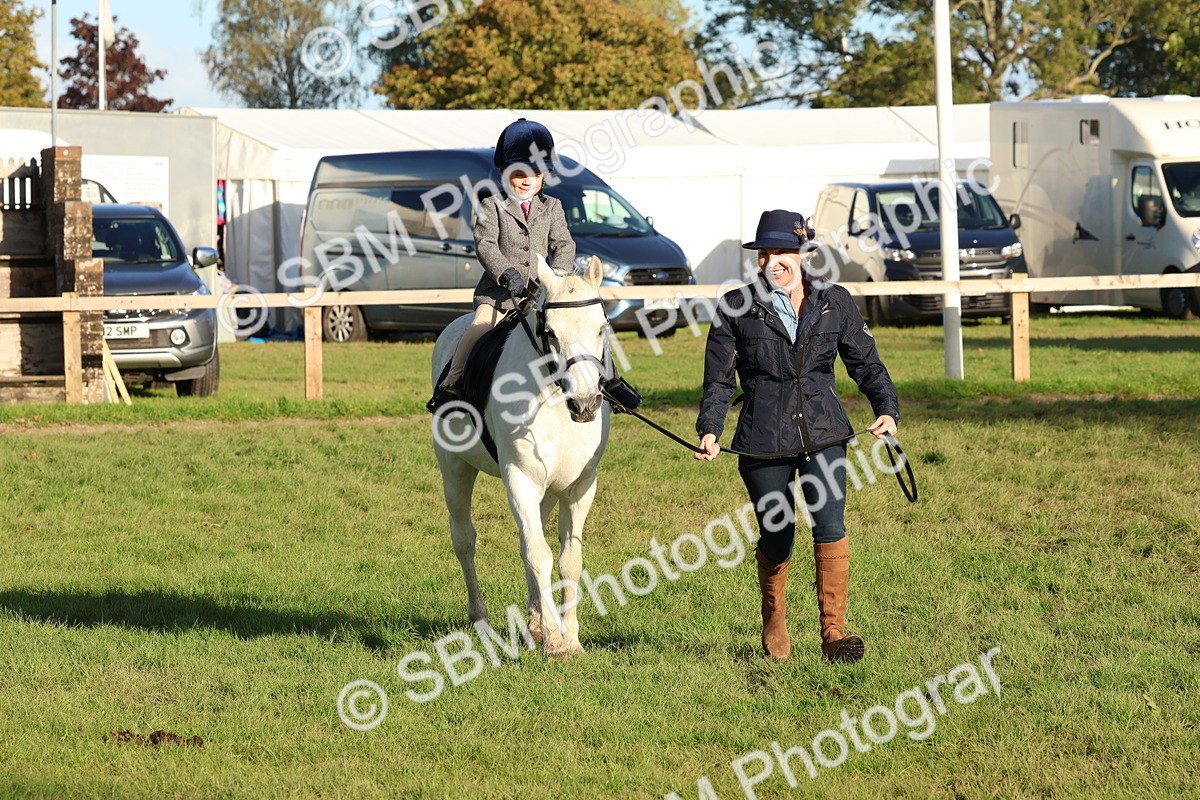 SBM_53034 - S29 - Mature Veteran Ridden