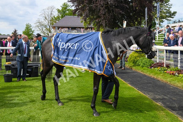 170523-Race 3-Azure Blue-0368 - Race 3 3.00pm 1895 Duke of York Clipper Logistics Stakes