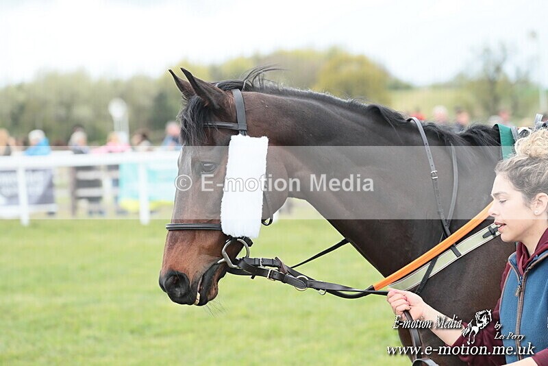 PtP 130425 2 - Edgecote Races 13/04/25