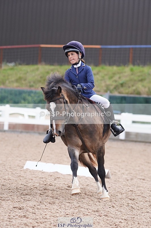 240809A-095946-00388 - Dressage Competition