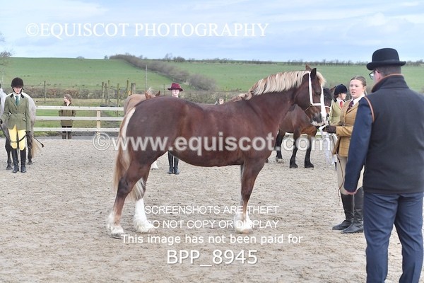 BPP_8945 - RING 2 - M&M