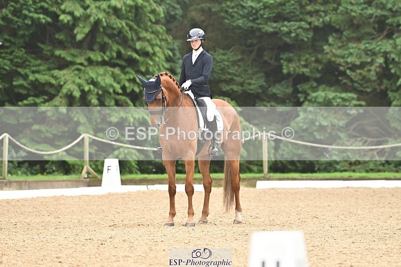 240811-113241-05196 - 208-Tom.Carter-Rubin.Regal