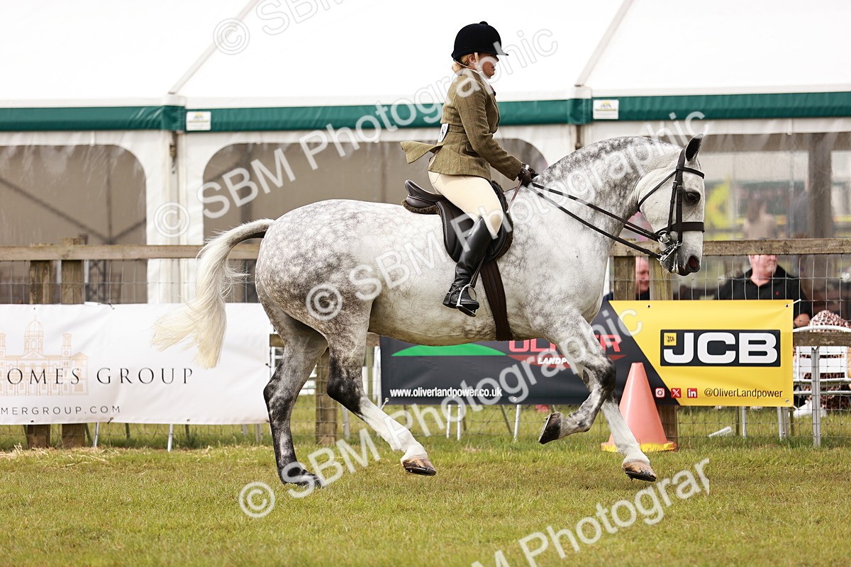 SBM_13002 - Class 85-87 - RIHS Cobs