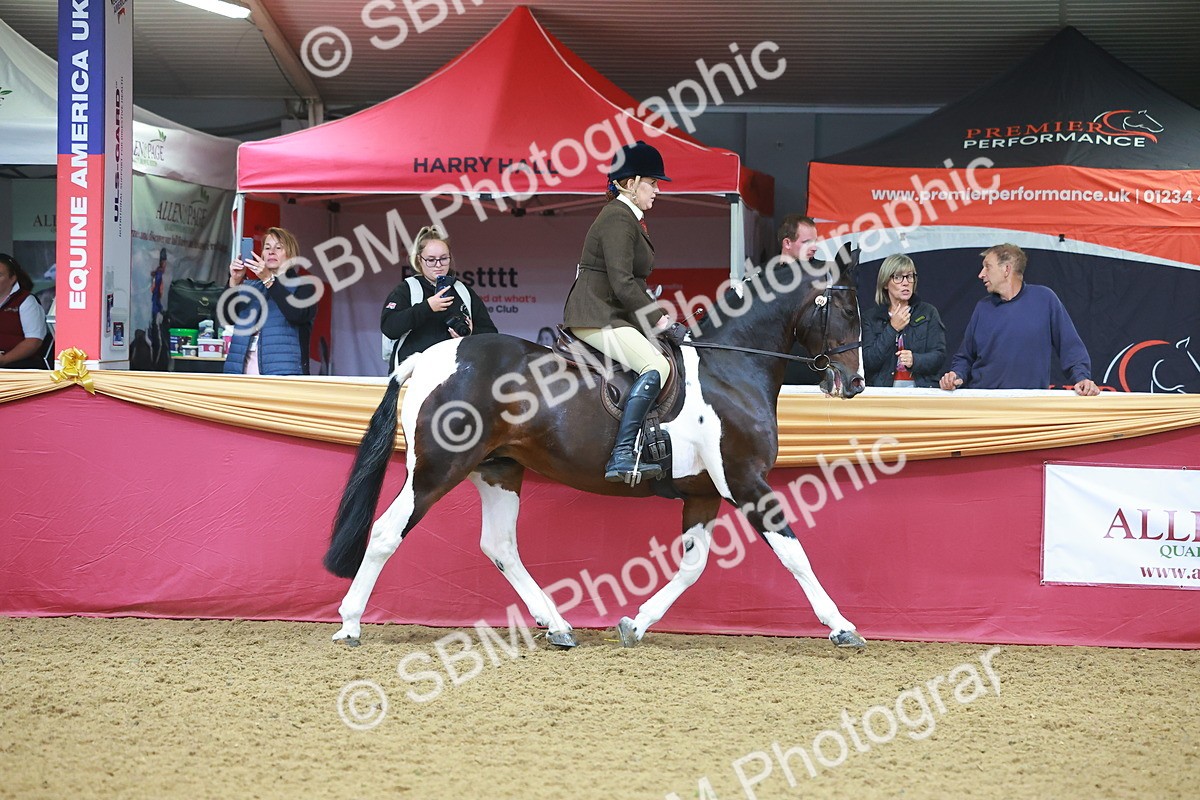 SBM_09617 - Class 102 - HOYS Veteran Qualifier - Ridden Veteran