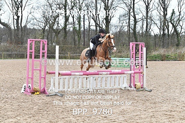 BPP_9780 - CLASS 4 Pony BritiNovice / 0.80m Open