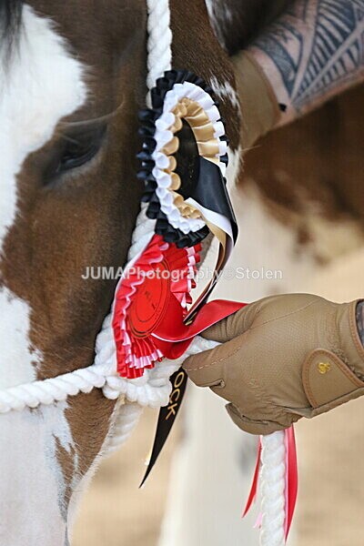 SIAL0312 - Indoor Classes