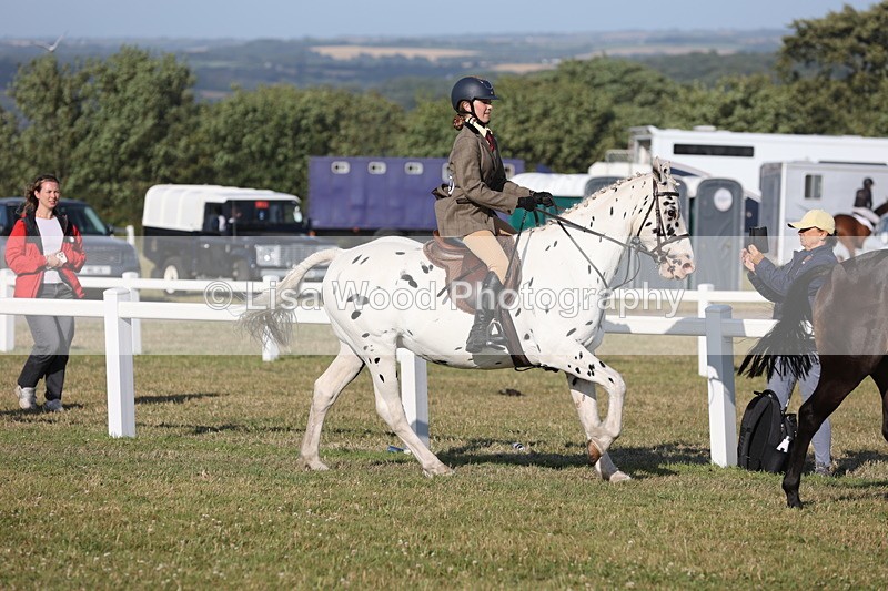 JPP_3291 - Class 21: Working Hunter 80cm