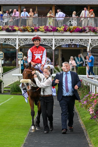 270724-Race 1-Night On Earth-6730 - Race 1 2.05pm Sky Bet 'Jump Jockeys' Nunthorpe' Handicap