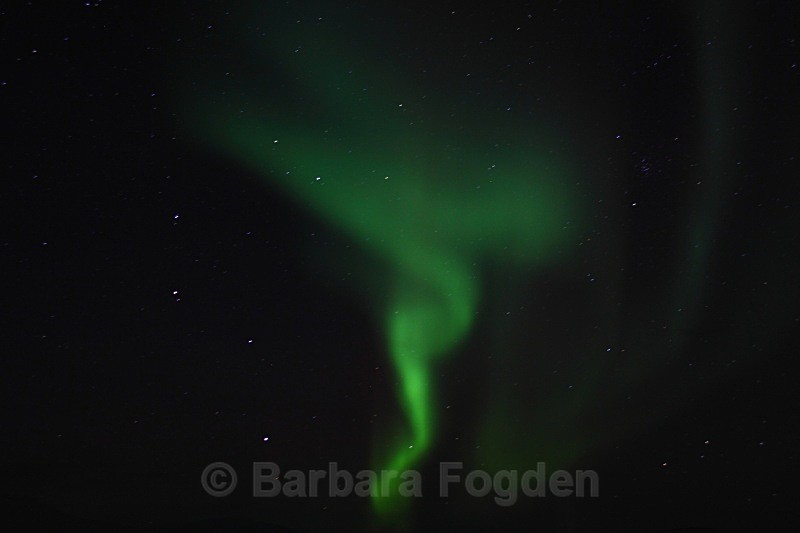 Northern Light in Adventdalen 5343 - Polar night