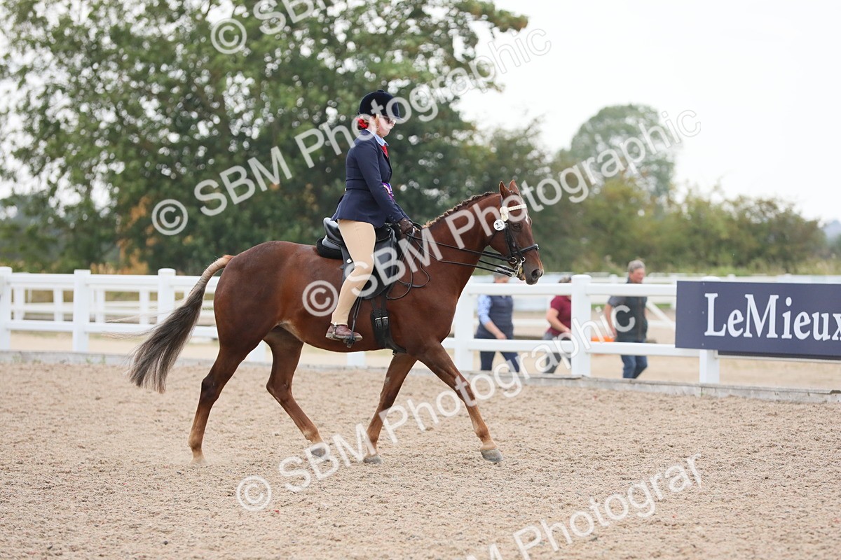 SBM_18270 - Class 316 Best Pony/Rider Combination