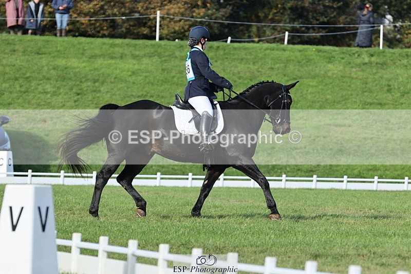 251024A-115209-10061 - D-356-Eloise.Starr