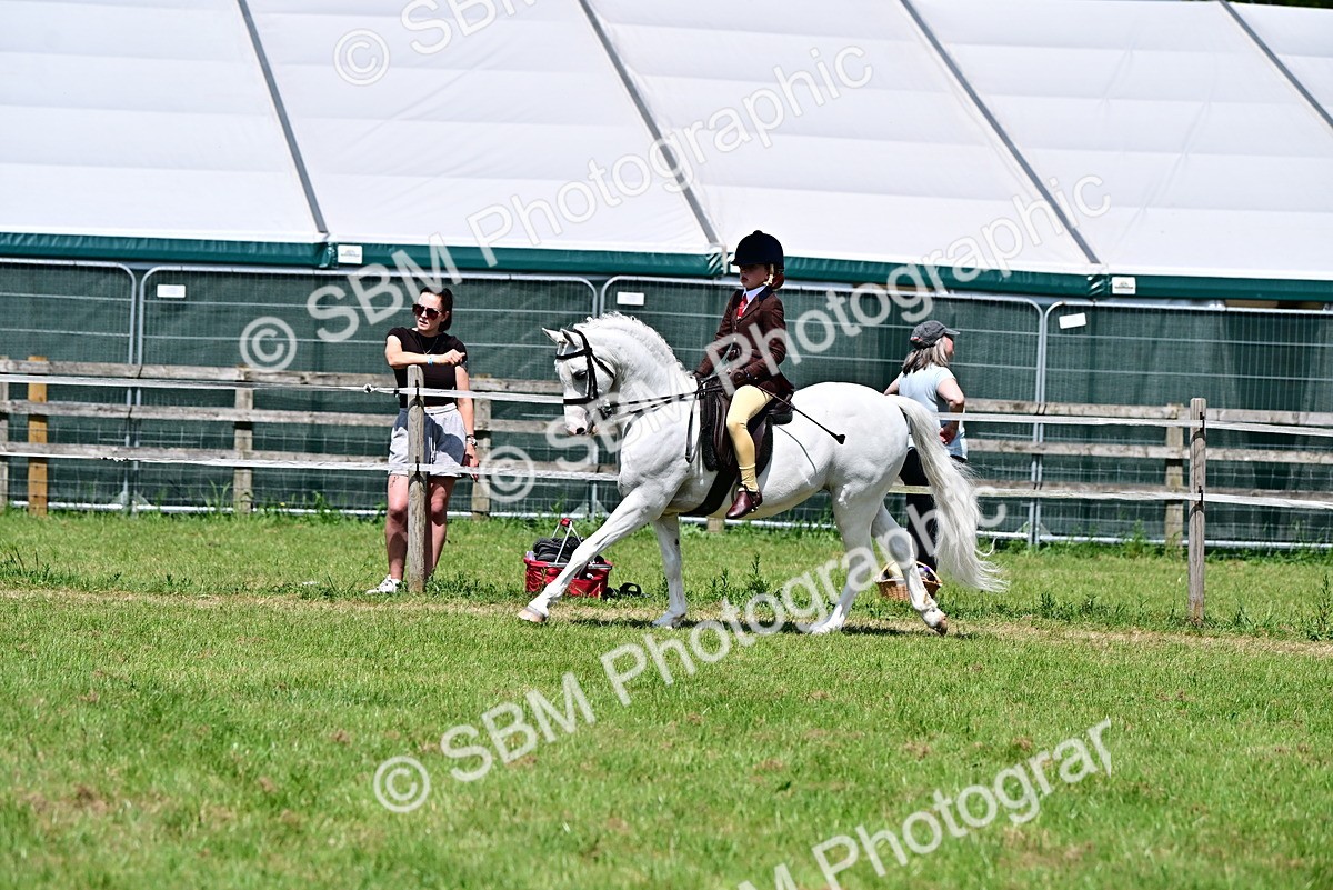 SBM_15306 - Class 95-97 - BSPS LHS Performance Ponies