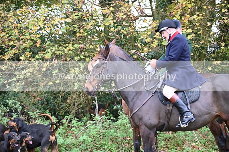 WJ6_8550 - Meet