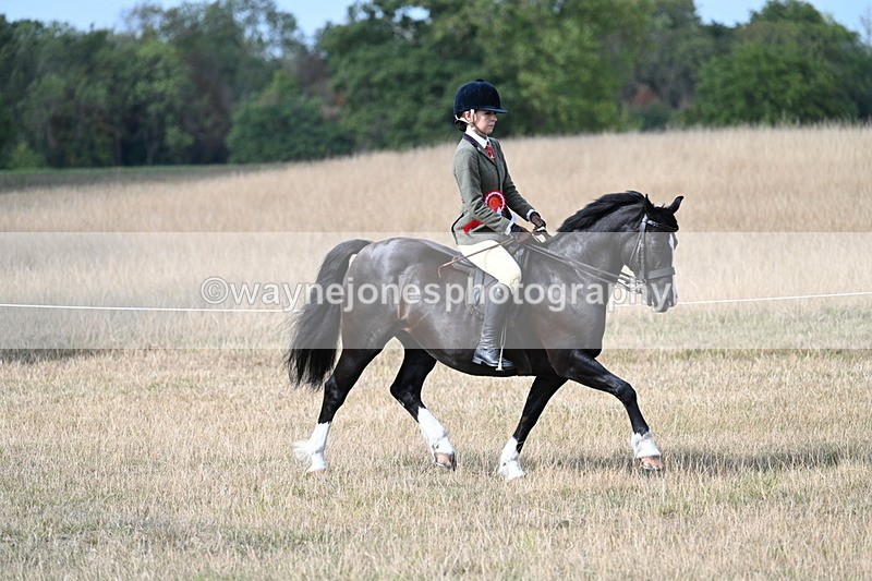 WJ7_7615 - Ridden Championship